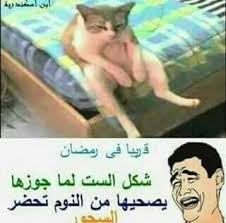 دى الست الكسوله هههههه Funny Pictures Ramadan Rayban Wayfarer