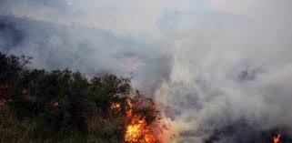 Un incendio forestal que se inició el miércoles pasado en la patagonia chilena ha quemado hasta ahora unas 3.000 hectáreas, aunque las brigadas que trabajan en su extinción han conseguido mantener las llamas dentro del perímetro cortafuego establecido, informaron hoy fuentes oficiales. El Israeli Acusado De Causar El Incendio En La Patagonia Chilena Lo Niega