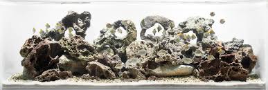Pin By Nikola Stojak On Aqua What Is Landscape Architecture Aquarium Design Hardscape