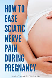 Pin On Pregnancy