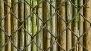 Chain link is the most popular fence, mainly used around the united states. How To Cover A Chain Link Fence For Privacy