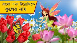 Names of flowers in hindi and english Best Of Flowers Name In Bangla Free Watch Download Todaypk