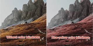 Are you a science expert? Photos What The World Looks Like When You Re Color Blind