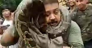 Sốc khoảnh khắc trăn “khủng” cố gắng giết nhân viên kiểm lâm sau khi được  giải cứu