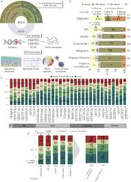 Abarca is an occupational last name. Comprehensive Omic Characterization Of Breast Cancer In Mexican Hispanic Women Nature Communications