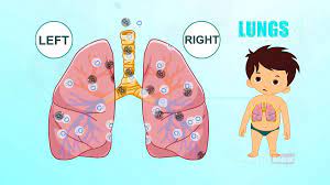 Practise parts of the body words with this song about a magic spell. Lungs Human Body Parts In Tamil Pre School Animated Videos For Kids Video Dailymotion