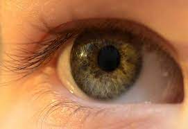 It takes about 3 months. What To Expect When Wearing Contact Lenses For The First Time