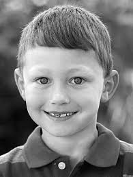 Mulberry Grove Man Dies In Sunday Crash