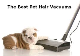Cleaning up your home of pet hair can be a very tedious task, especially if the follicles have been embedded into the fabric of your upholstery or even carpet. Best Vacuum For Pet Hair 2020