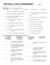Any help you could offer would be appreciated! Cell Cycle Worksheet The Cell Cycle Worksheet Doc Biology Worksheet Teaching Biology Biology Lessons