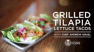 Maybe you would like to learn more about one of these? Grilled Tilapia Lettuce Tacos Recipe By Andrew Gruel Youtube