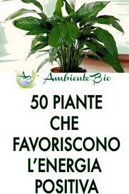 Consigli per la coltivazione e la disposizione delle piante nella casa (in bagno, in cucina, nel soggiorno.). 50 Piante Che Favoriscono L Energia Positiva Ambiente Bio Piante Da Interno Piante Piante Di Casa