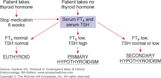 chapter 7 the thyroid gland greenspans basic clinical