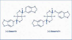 Image result for Dicliptera hensii