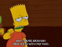 How to brush your teeth instruction, infographics. Brushing Bart Simpson Gif Find Share On Giphy