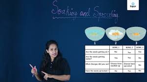 Maybe you would like to learn more about one of these? Seeds Parts Germination Dispersal And Its Agents Videos And Examples
