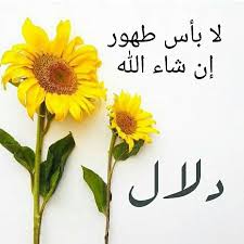 لا اله إلا الله آمين يارب دعاء الحمدلله ادعيه ساعه استجابه يوم الجمعة الجمعة عرب فوتو تصويري السعودية غرد بصورة انستقرام صور صورة صو Plants