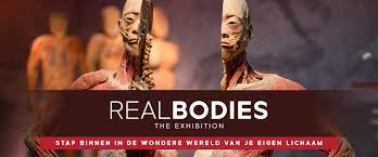 De expo loopt nog tot en met zondag 29 augustus 2021. Fascinerende Expo Real Bodies Komt Naar Sportpaleis Antwerpen Frontview Magazine