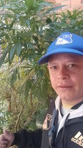 Vídeos de Julio Pachon (@julio.pachon3) con «ESTA VIDA ME ENCANTA x REMIX x  LEA IN THE MIX