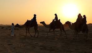 See more ideas about camels art, camel, art. Arabian Horizons Review Of Arabia Horizons Dubai United Arab Emirates Tripadvisor