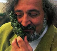 Los intelectuales modernos de la marihuana