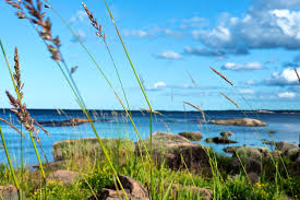 Bildresultat för sommar