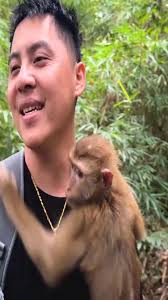 Kingston Chan The Monkey