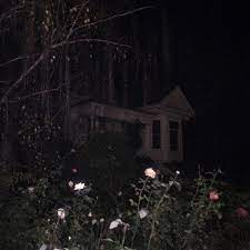 Dark Goth Bands And Beautiful Things Scary Photography Mystic Garden Night Garden