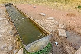 Large round cattle water trough. 7 Ways To Keep Livestock Water From Freezing The Grow Network