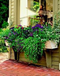 Window boxes can completely transform the facade of your house. 30 Bright And Beautiful Window Box Planters Window Box Plants Window Box Flowers Shade Plants