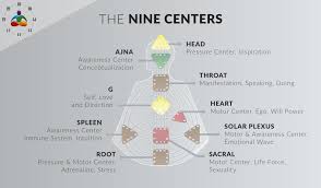 Human Design Types What To Know About Human Design Your