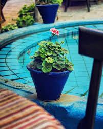 آلاچیق سکوت