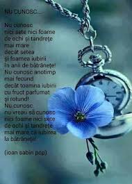 Pin By Roxana Rau On Nibasus Poems Pendant Necklace