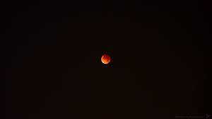 10 ideal and most recent blood moon wallpaper hd for desktop with full hd 1080p (1920 × 1080) free download. Blood Moon 4k Wallpaper By Sly Mk3 On Deviantart
