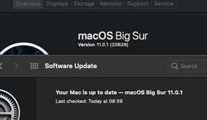 But you may be wondering, should i upgrade to macos big if you've been waiting to install this major os update and your critical apps are all supported, this should be a safe time to jump in. Big Sur 11 1 Update Not Showing Up In System Preferences Software Tonymacx86 Com