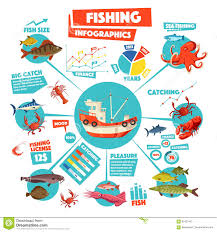 Fishing Infographics Design With Graph Fish Boat Stock