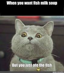 Cat memes are considered to be universal ones, which are used for all occasions! Create Meme Cat Michael Avatars Cats Cat Pictures Meme Arsenal Com