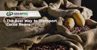 Cocoa beans come from the cocoa pods which are found naturally in jungle biomes. The Best Way To Transport Cocoa Beans