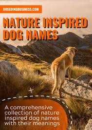 Cool female dog names with meanings; 150 Nature Inspired Dog Names For Adventure Outdoor Lovers