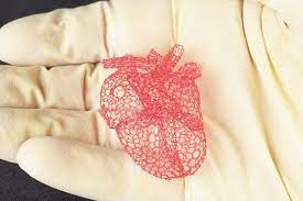 5 Amazing Projects That Will Change The Future Of Healthcare Prints 3d Printed Heart 3d Printing