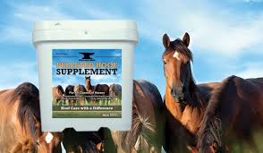 The 15 Best Hoof Supplement For Horses 2019 Reviews