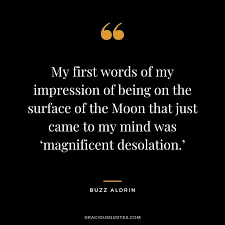 I would rather be a superb meteor, every atom of me in magnificent glow, than a sleepy and permanent planet. 52 Buzz Aldrin Quotes Magnificent Desolation