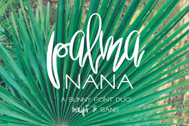 Symbols font generator copy font. Palma Nana Sunny Font Duo In Fonts On Yellow Images Creative Store