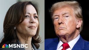 Baseball Bats from Walter Bat Company