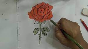 Warna ungu memiliki hubungan erat dengan royalti atau. Belajar Cara Menggambar Dan Mewarnai Bunga Menggunakan Pensil Dengan Mudah Menggambar Bunga Mawar Youtube
