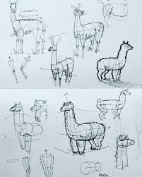 Instagram Photo By Matthew Barnett Montoya May 26 2016 At 12 46pm Utc Alpaca Drawing Llama Drawing Llama Arts