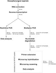 flowchart comparing the protocols for the real time pcr