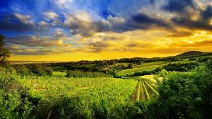 We did not find results for: Nature Ultra Hd Wallpapers 8k 3840x2160 Wallpaper Teahub Io