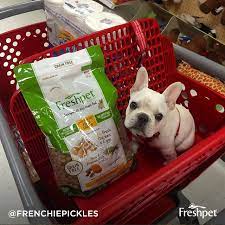 Reviews By Pet Parents Are Raving Real Refreshing And Healthypetfood Are Best For Domestic Pets Pet Parent Healthy Pet Food Pets
