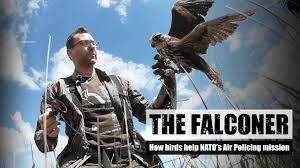 A falconer is someone who practises the sport of pursuing live prey with a raptor, such as a hawk, falcon or eagle. The Falconer How Birds Help Nato S Air Policing Mission Youtube
